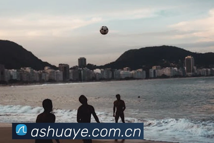 半岛网页版官网平台生态图